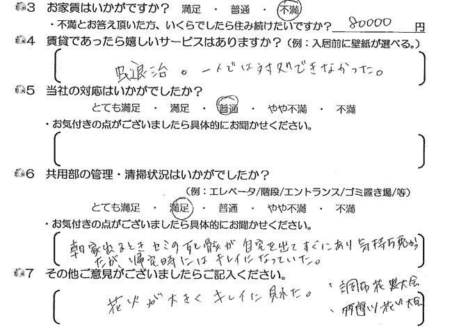 花火が大きくキレイに見れた